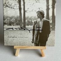 David Sylvian - Brilliant Trees Cd. Signed by David Sylvian and Steve Nye on rear