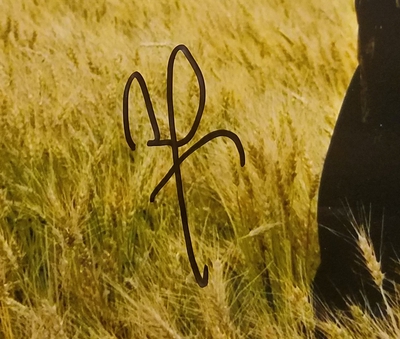  Autograph Profile