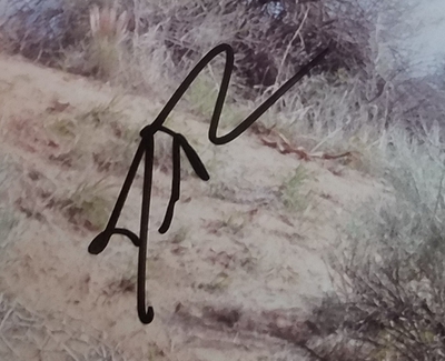  Autograph Profile