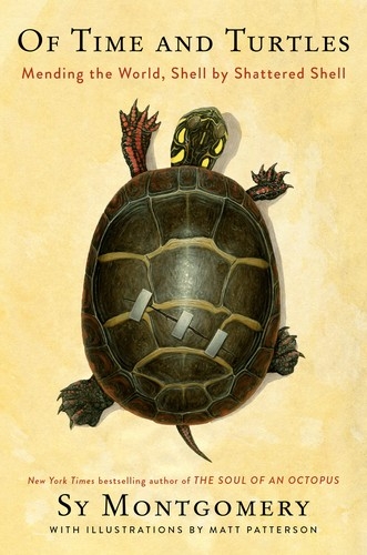 Of Time and Turtles Autographed