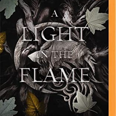 A Light in the Flame - A Flesh and Fire Novel Autographed