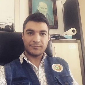 umut mustafa onur