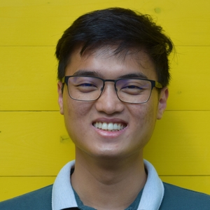 Manh Cuong Nguyen
