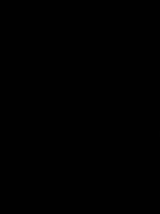 Gel