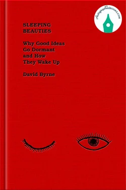 David Byrne Sleeping Beauties Autographed
