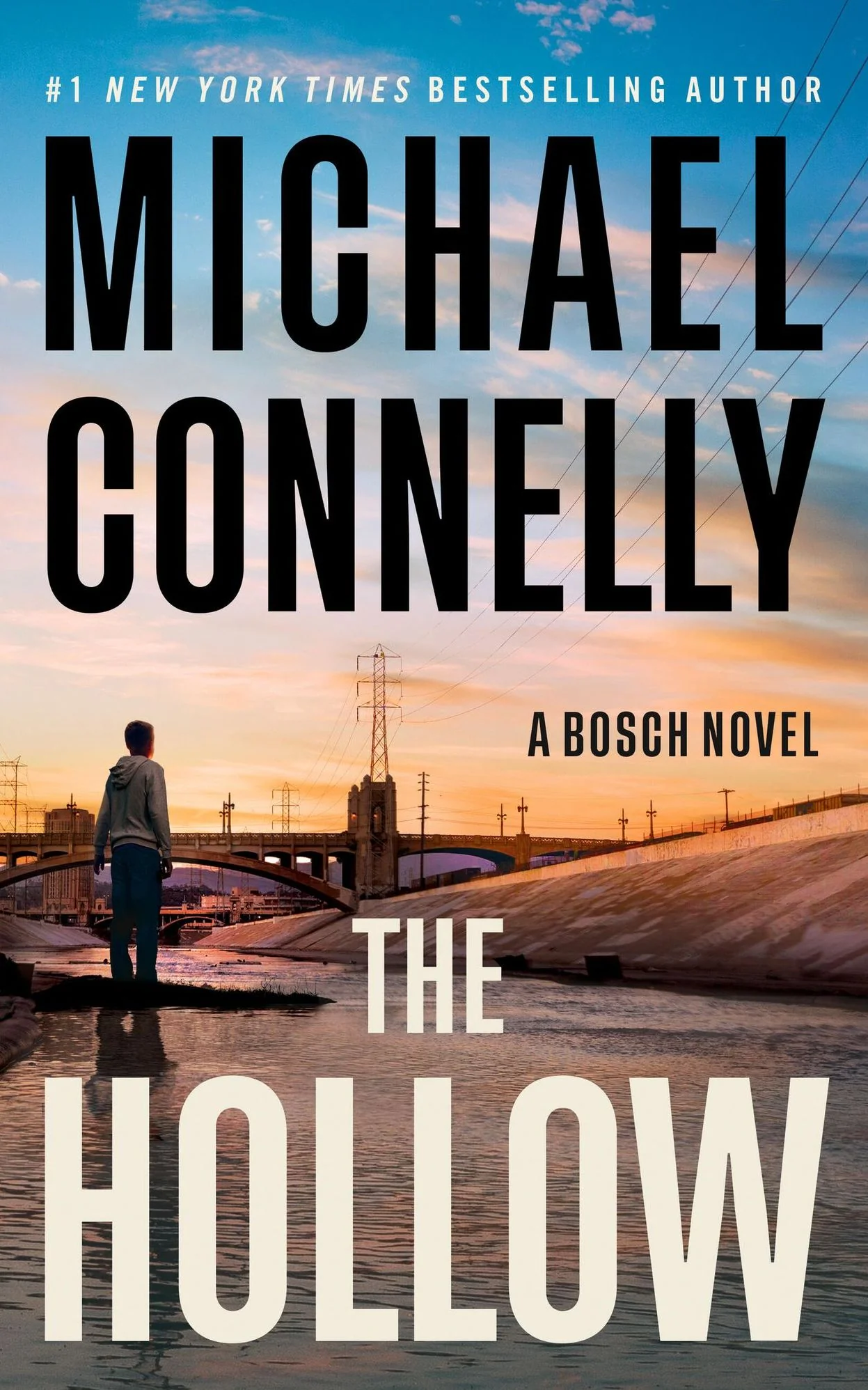 The Hollow: A Harry Bosch Novel (Signed Book)