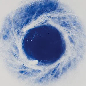YOKOKIMTHURSTON (Deluxe Edition Vinyl) — Chimera Music